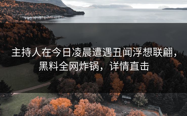 主持人在今日凌晨遭遇丑闻浮想联翩,黑料全网炸锅,详情直击